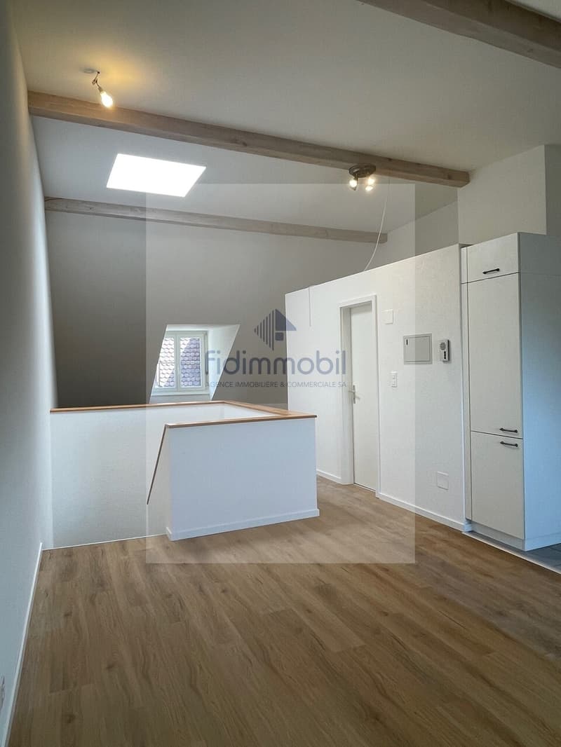 Bel appartement lumineux avec cuisine ouverte au coeur de Neuchâtel (5)