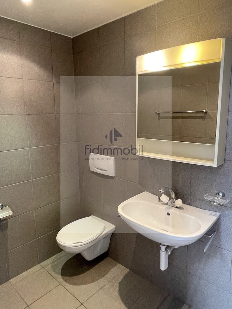 Bel appartement lumineux avec cuisine ouverte au coeur de Neuchâtel (7)