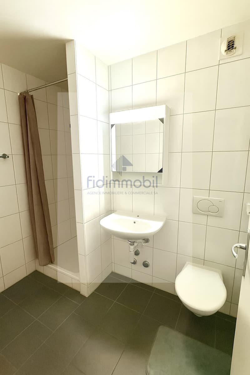Splendide 3.5 pièces avec jardin à louer (5)