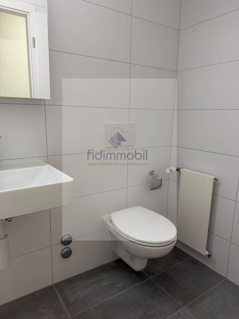 Splendide studio à louer au Centre-Ville de Neuchâtel (3)