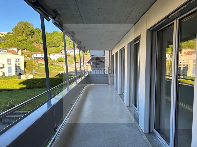 MAGNIFIQUE 4.5 PIÈCES PROCHE DU LAC DANS QUARTIER CALME (8)