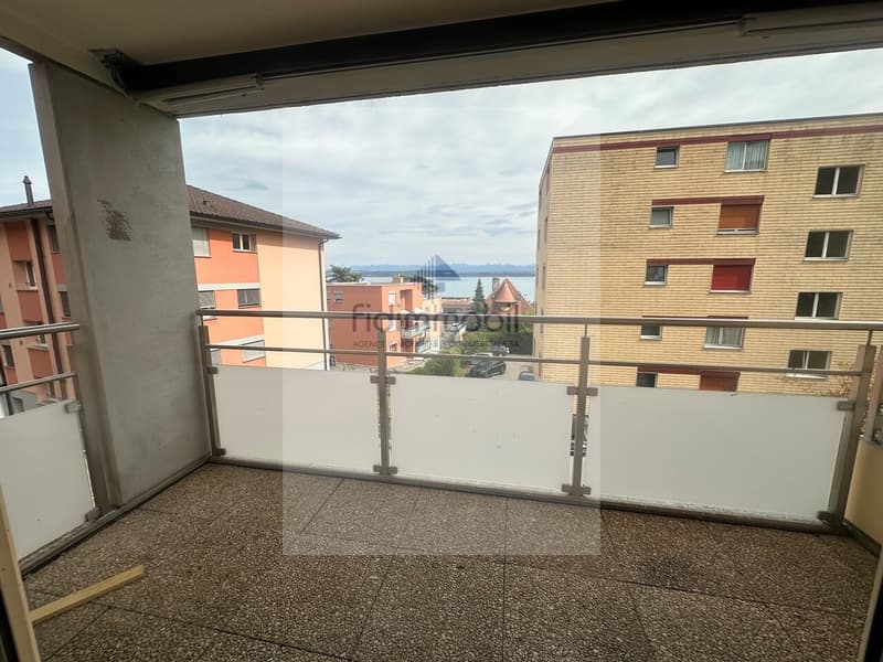 Magnifique appartement entièrement rénové (4)