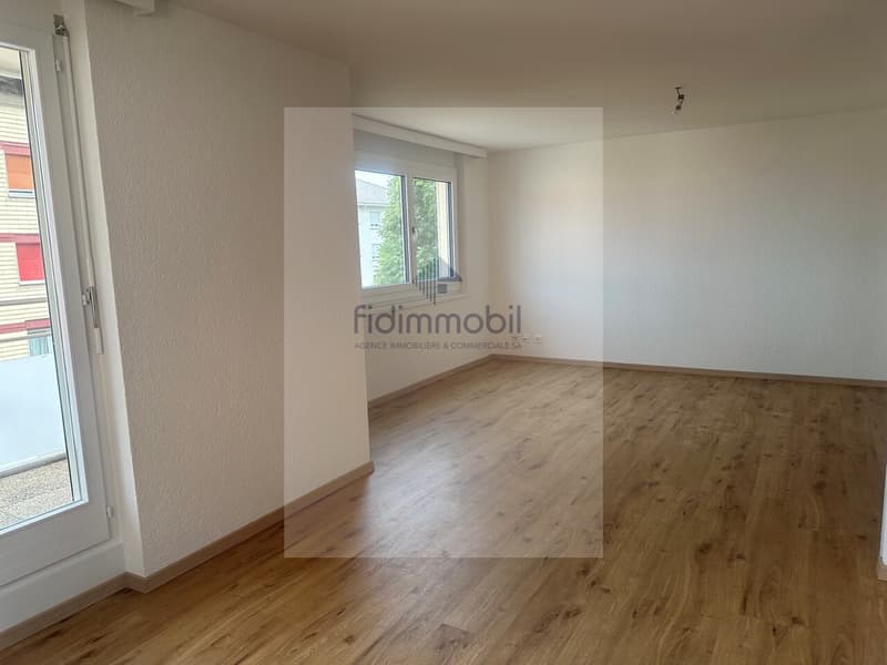 Magnifique appartement entièrement rénové (3)