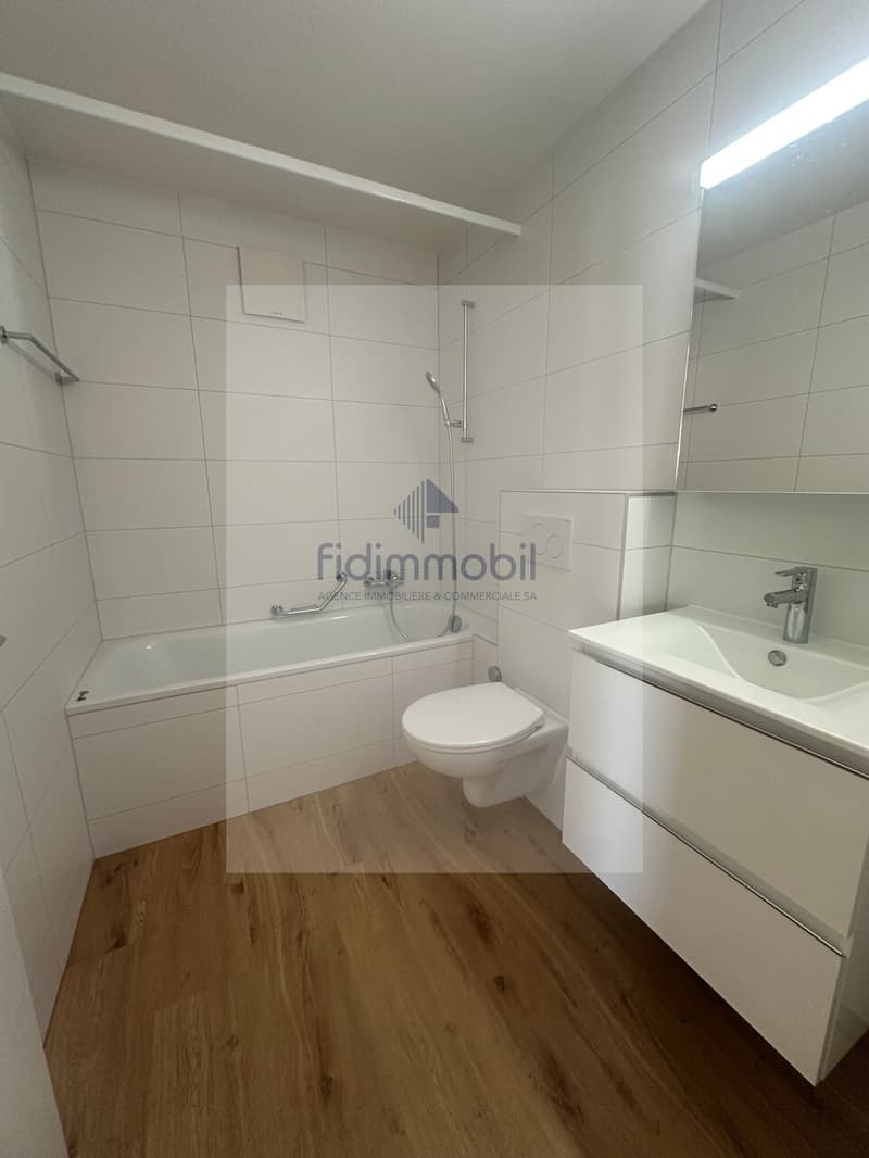 Magnifique appartement entièrement rénové (7)