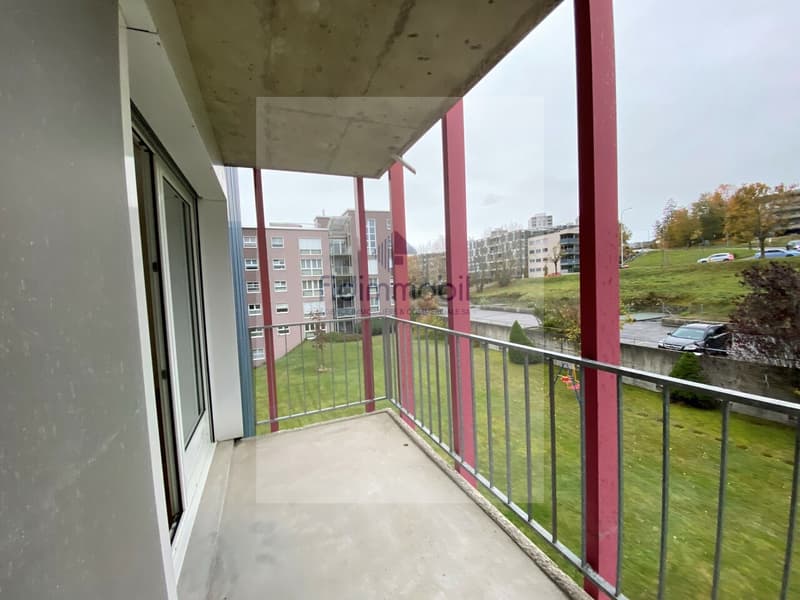 A louer, AVS/AI, 2.5 pièces rénové, Albert-Monard 4, La Chaux-de-Fond (10)