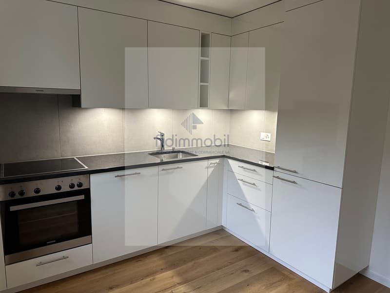 Bel appartement rénové de 4 pièces (1)