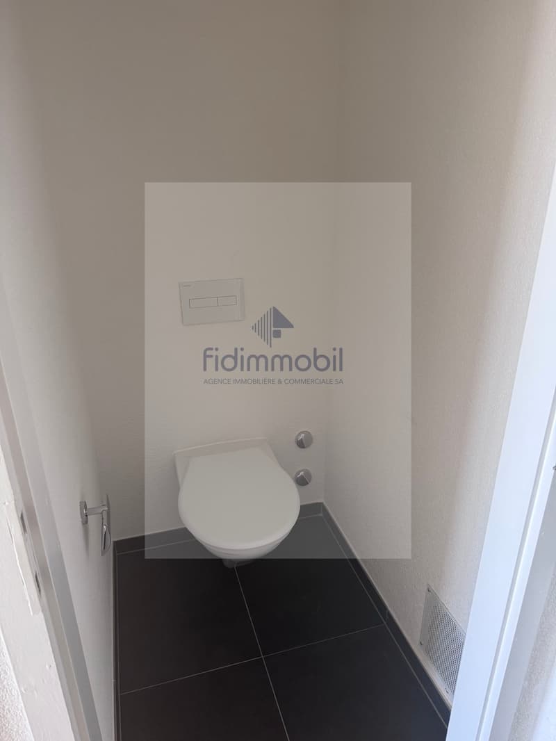 Bel appartement rénové de 4 pièces (7)