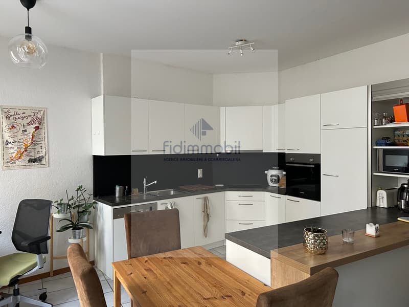 BEL APPARTEMENT EN CENTRE-VILLE PROCHE DE TOUTES LES COMMODITÉS (1)
