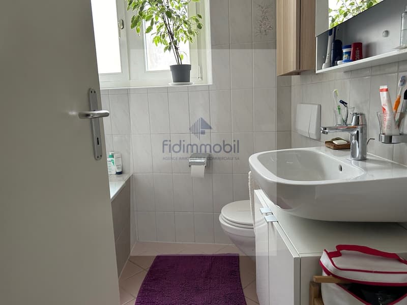 BEL APPARTEMENT EN CENTRE-VILLE PROCHE DE TOUTES LES COMMODITÉS (5)