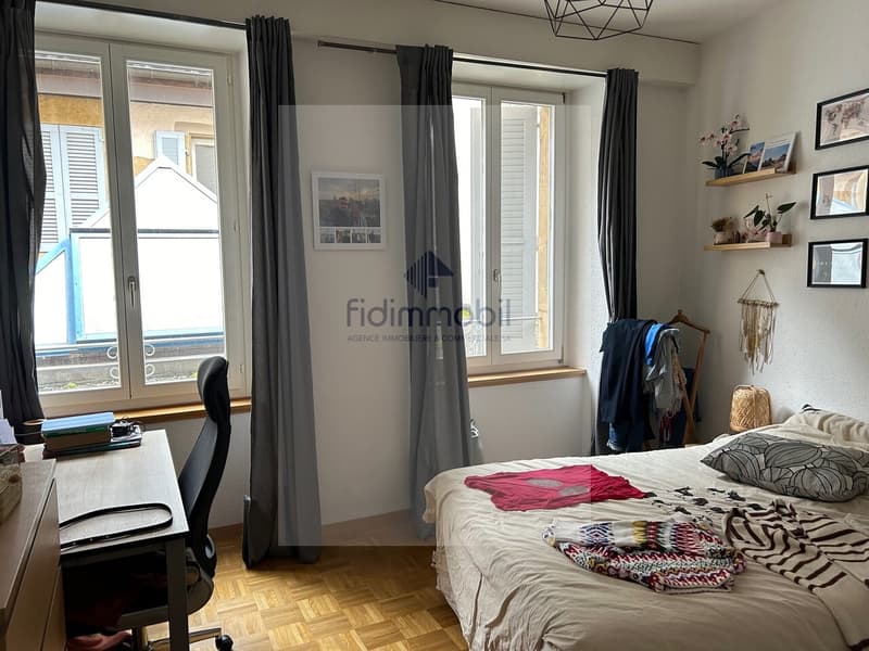 BEL APPARTEMENT EN CENTRE-VILLE PROCHE DE TOUTES LES COMMODITÉS (4)