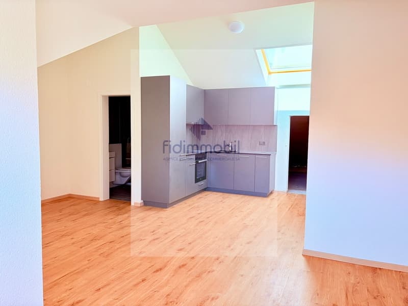 Splendide loft neuf, à louer à Peseux (1)
