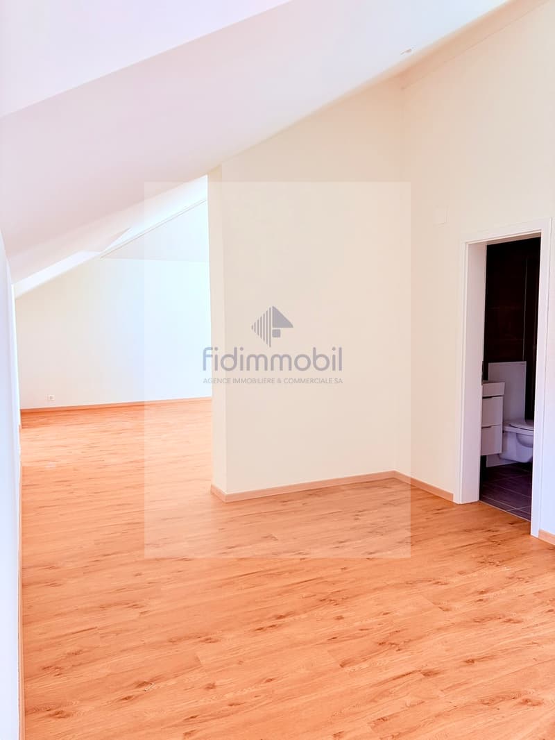 Splendide loft neuf, à louer à Peseux (2)