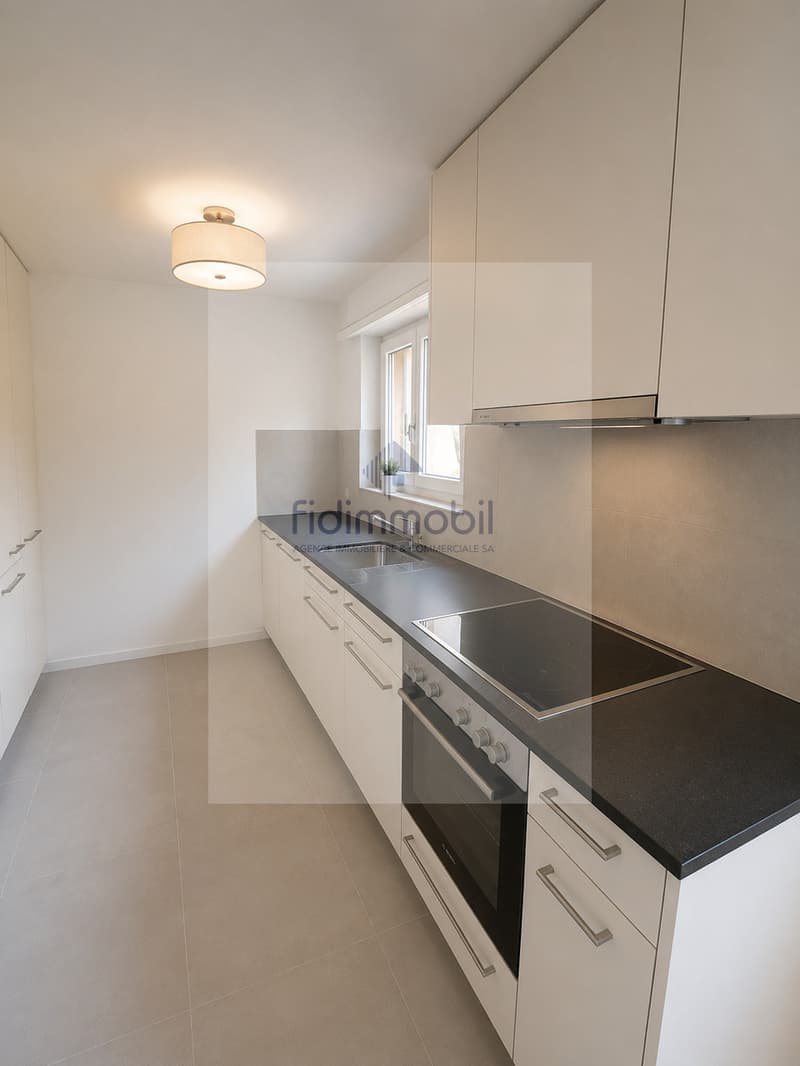 Appartement de 4 pièces entièrement rénové (7)