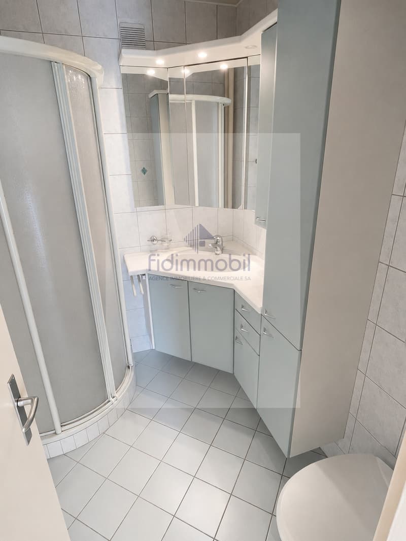 Charmant 3 pièces avec belle terrasse dégagée (8)