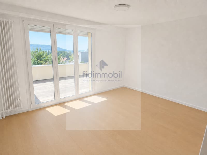 Charmant 3 pièces avec belle terrasse dégagée (6)