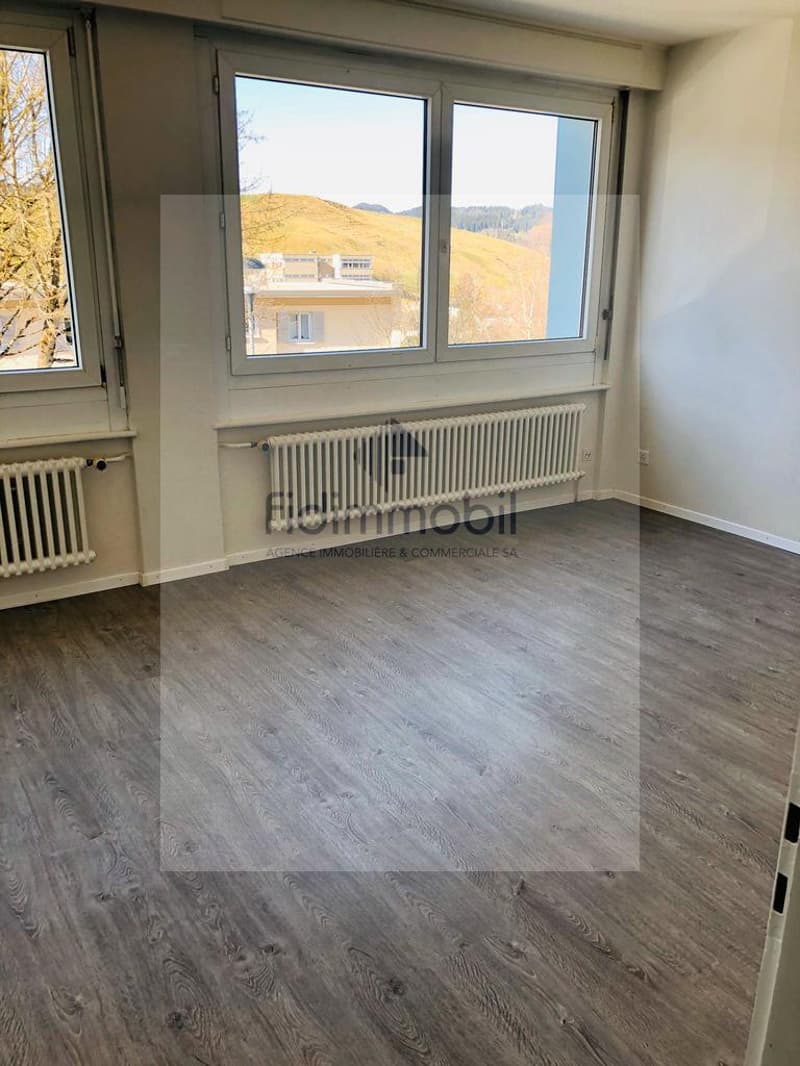A louer, 2 pièces, Primevères 2a, Le Locle (2)