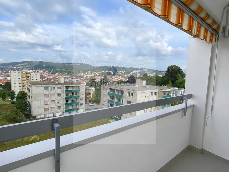 Appartement 3.5 pièces entièrement rénové avec balcon (7)