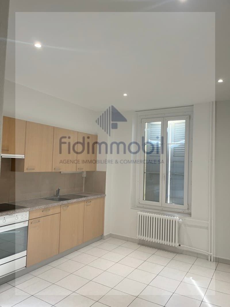 Appartement rénové de 3 pièces (4)
