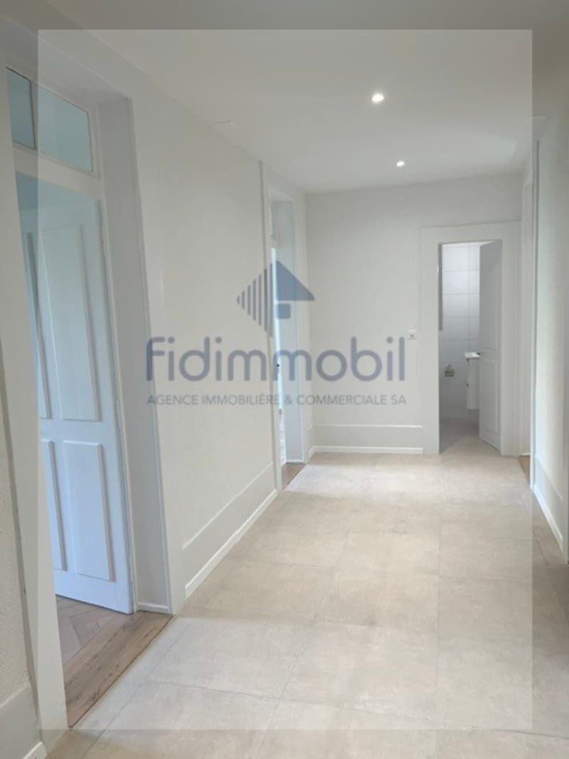 Appartement rénové de 3 pièces (3)