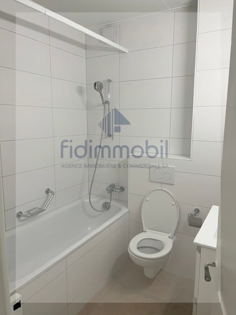 Appartement rénové de 3 pièces (5)