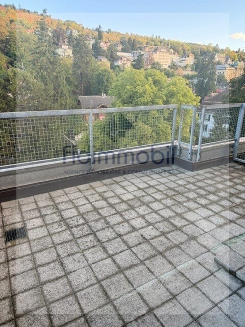 Splendide attique de 4.5 pièces à louer (10)