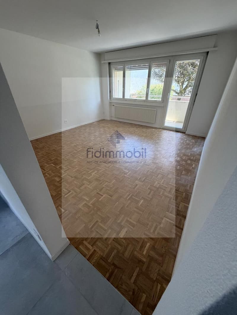 Appartement entièrement rénové de 3 pièces (1)