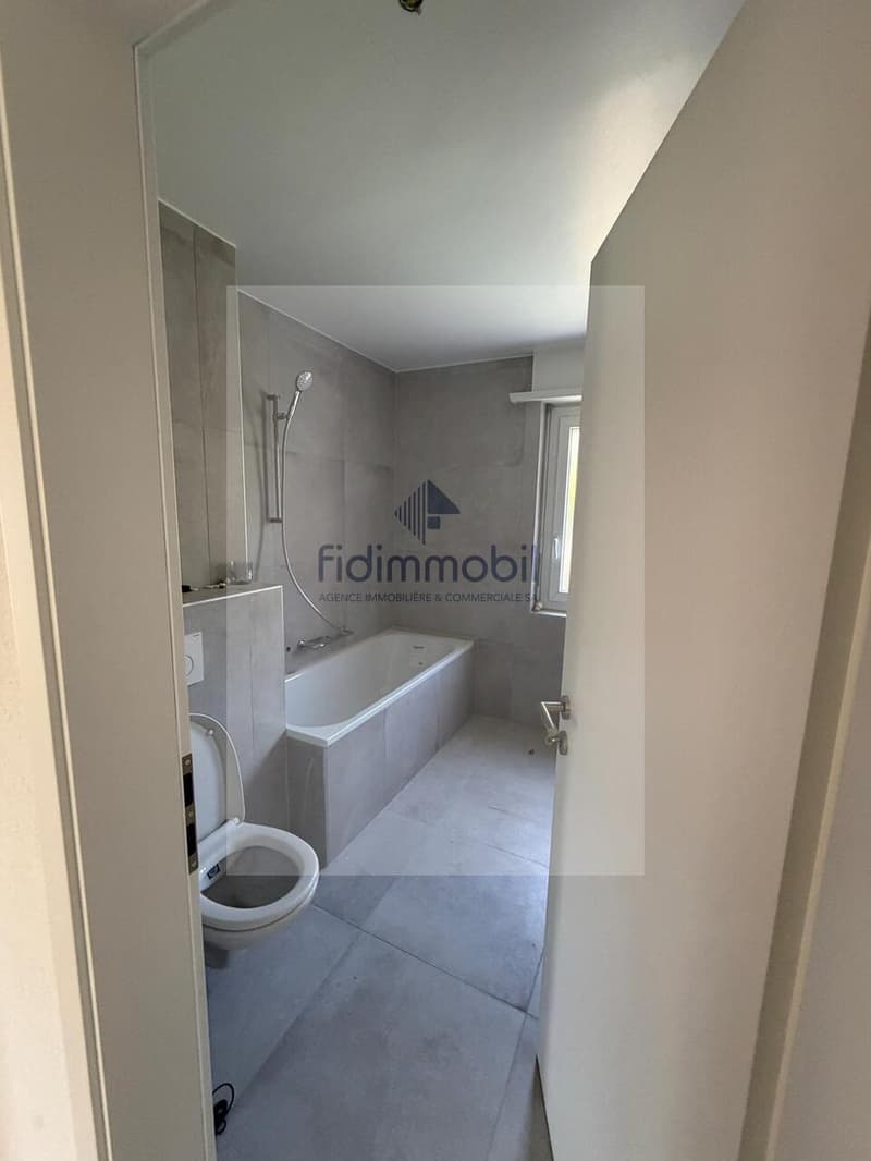 Appartement entièrement rénové de 3 pièces (3)