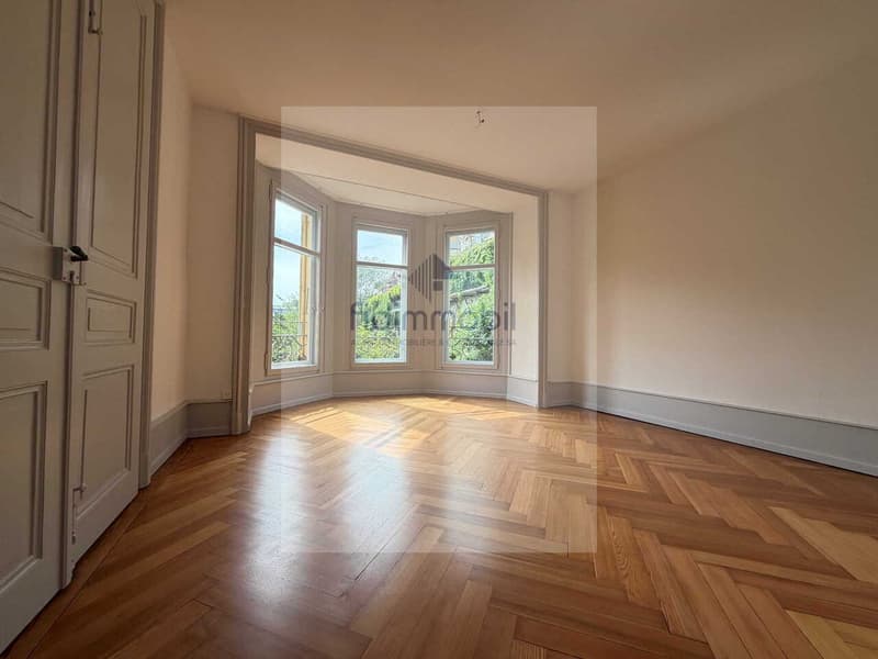 BEL APPARTEMENT SITUE AU COEUR DE LA VILLE (4)