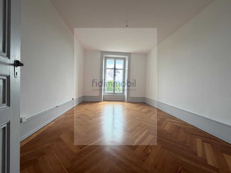 BEL APPARTEMENT SITUE AU COEUR DE LA VILLE (5)