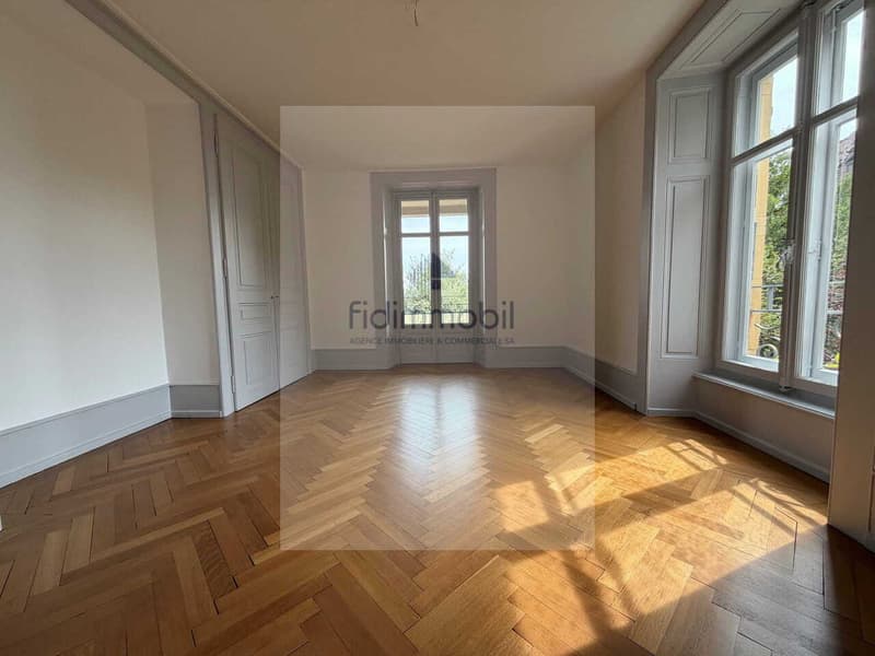 BEL APPARTEMENT SITUE AU COEUR DE LA VILLE (3)
