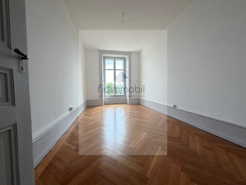 BEL APPARTEMENT SITUE AU COEUR DE LA VILLE (6)