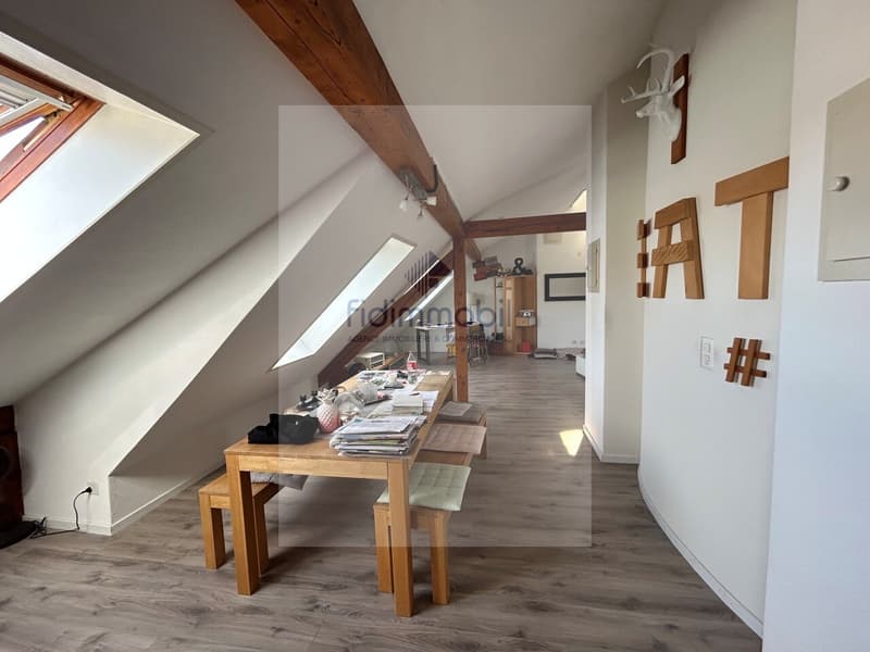 GRAND LOFT EN CENTRE VILLE PROCHE DE TOUTES LES COMMODITÉS (4)