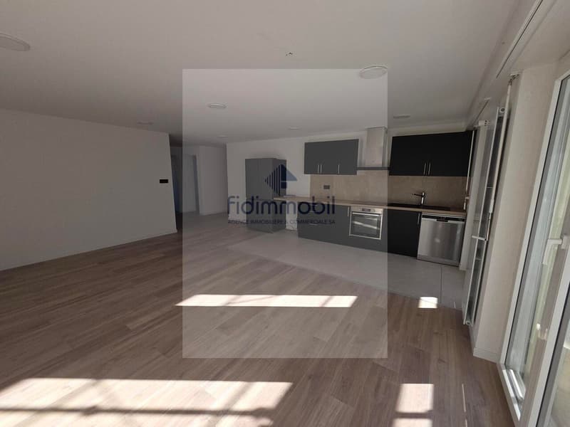 Appartement de 4 pièces entièrement rénové dans quartier calme (2)