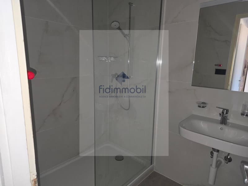 Appartement de 4 pièces entièrement rénové dans quartier calme (7)