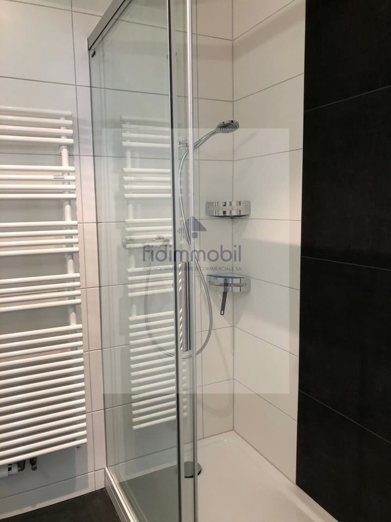 Beau 4 pièces rénové, Léopold-Robert 31, La Chaux-de-Fonds (8)