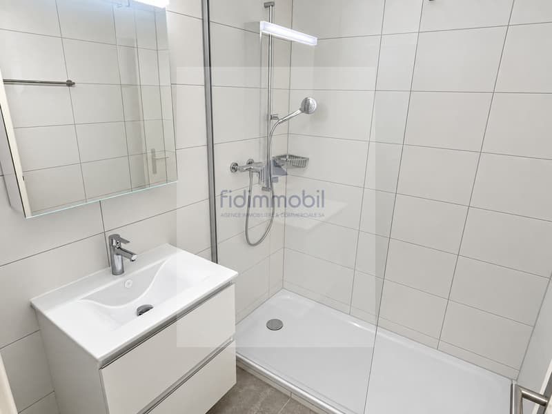 Appartement rénové avec balcon (5)