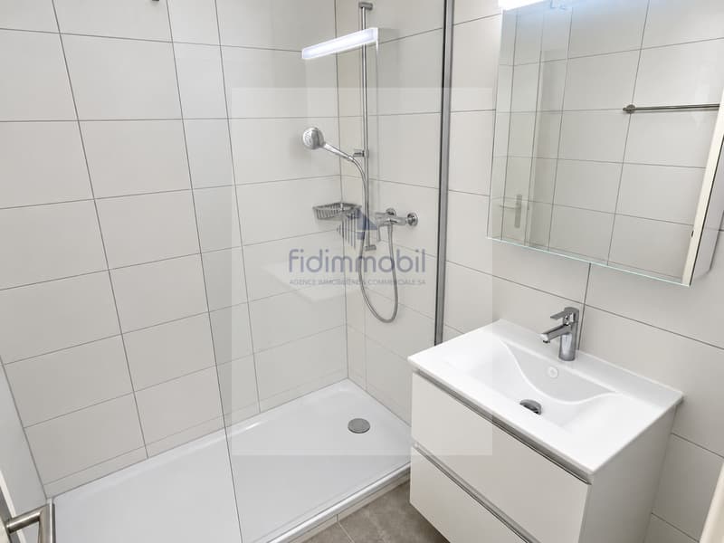 Appartement entièrement rénové avec balcon (5)