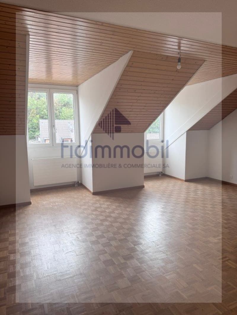 Duplex de 130m2 proche du centre-ville (4)