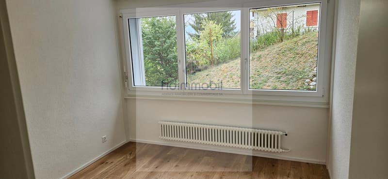 Bel appartement entièrement rénové, lumineux et agréable à vivre (3)