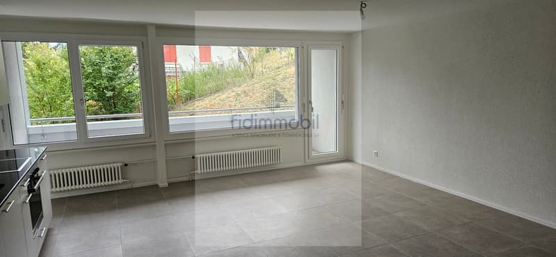 Bel appartement entièrement rénové, lumineux et agréable à vivre (2)