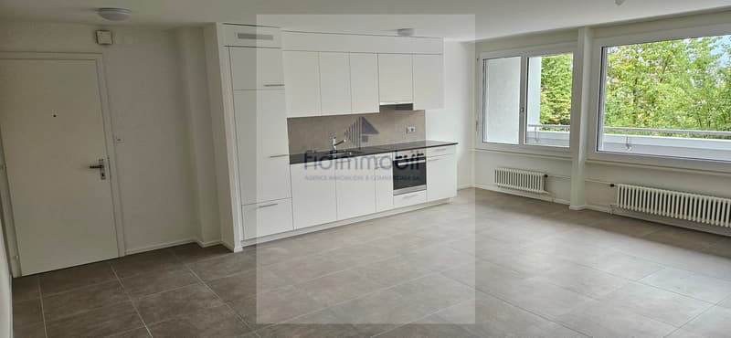 Bel appartement entièrement rénové, lumineux et agréable à vivre (1)