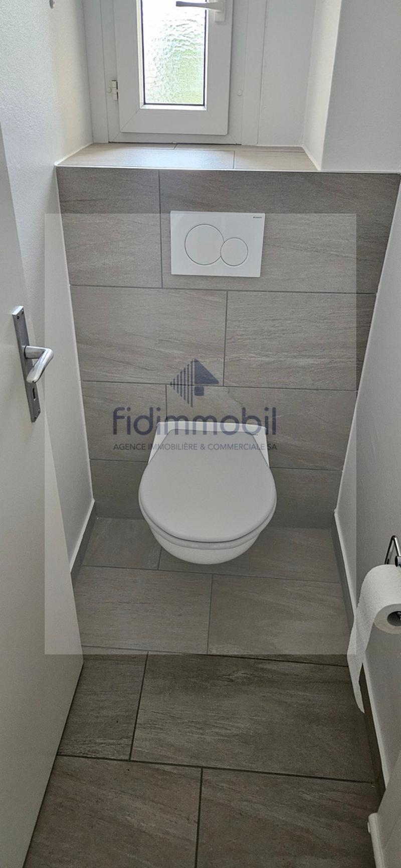 Bel appartement entièrement rénové, lumineux et agréable à vivre. (4)