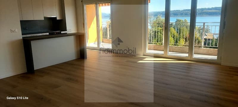 Bel appartement entièrement rénové, lumineux et agréable à vivre. (6)
