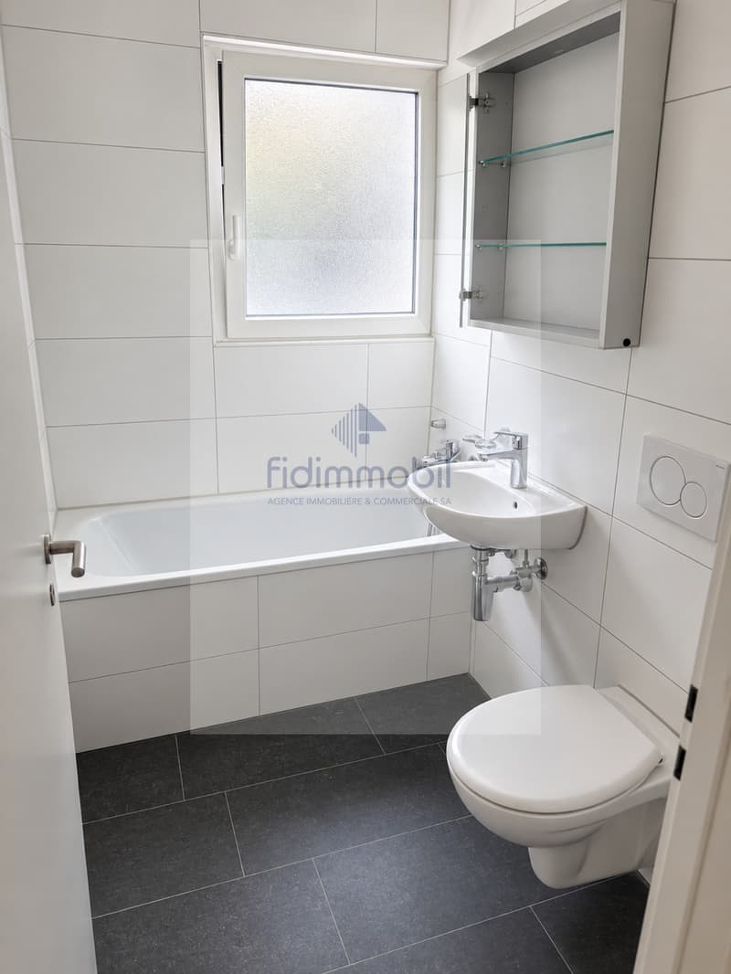 Appartement rénové d'une 1.5 pièce (4)