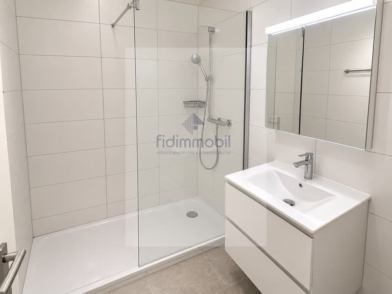 Appartement entièrement rénové avec balcon vue lac (7)