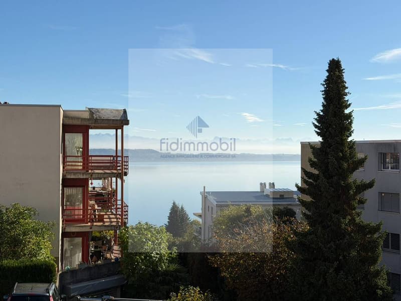 Appartement entièrement rénové avec balcon vue lac (8)
