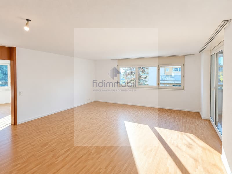 Magnifique appartement rénové avec balcon (4)