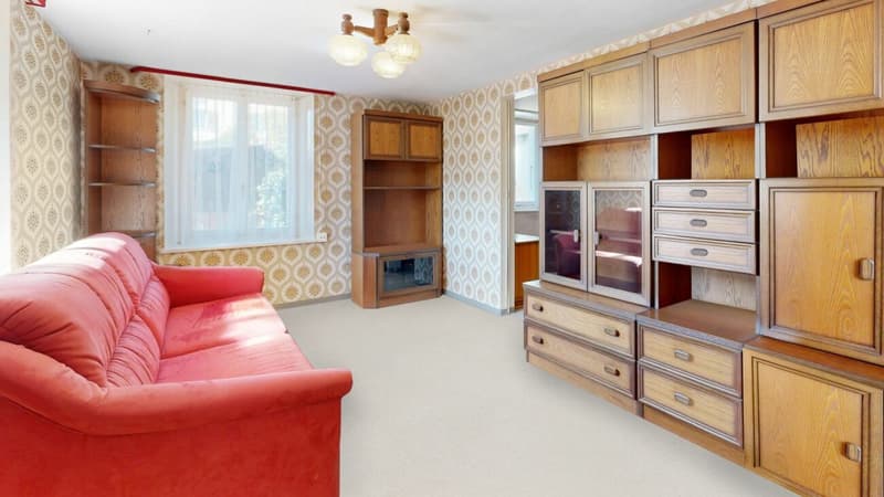 2-Generation House with Potential in Liesberg Village (11)