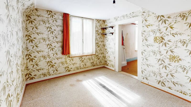 2-Generation House with Potential in Liesberg Village (13)