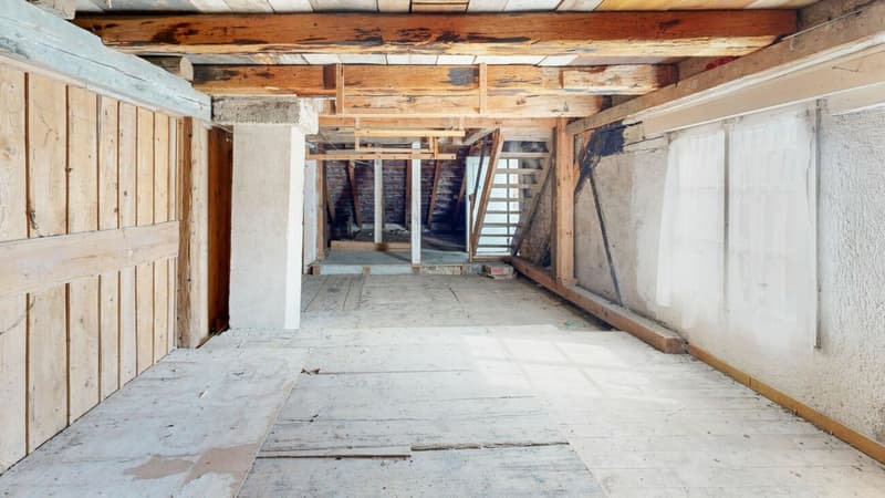 2-Generation House with Potential in Liesberg Village (17)